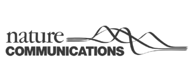 Proyecto nuevo - 2026-02-10T200951.034