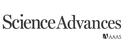 Proyecto nuevo - 2026-02-10T201042.446