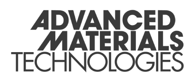 Proyecto nuevo - 2026-02-10T201125.723