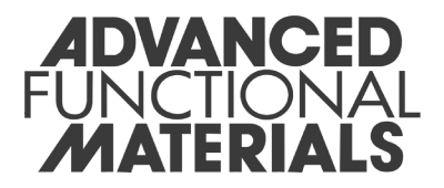 Proyecto nuevo - 2026-02-10T201213.422